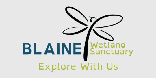 Blaine Wetland Sanctuary Logo Design